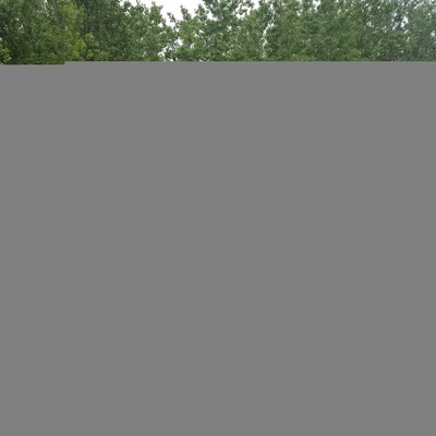 瑞興加工定制 新能源電動(dòng)噴灑車,工程電動(dòng)除塵灑水車,景區(qū)新能源電動(dòng)降溫噴灑車,醫(yī)院除塵噴灑車,工廠道路灑水車