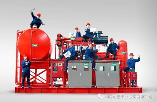 耐普泵業(yè)產品助力中國海洋裝備建設——中海油陸豐油田群區(qū)域開發(fā)項目柴油機消防泵組順利交付